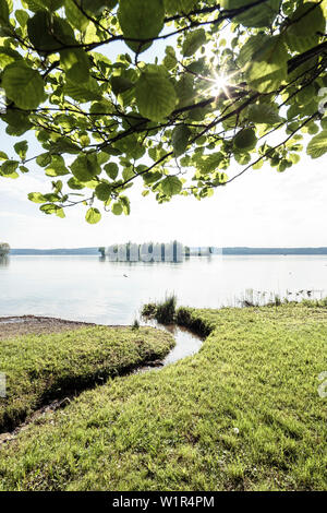 Stream laufen in den Starnberger See. Rose Insel im Hintergrund, Feldafing, Bayern, Deutschland Stockfoto