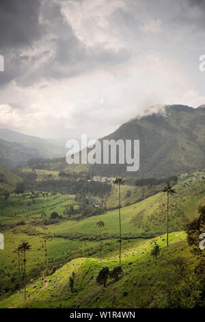 Cocora Tal, endemische Wachs Palmen, Salento, UNESCO Welterbe/Dreieck, Departmento Quindio, Kolumbien, Südamerika Stockfoto
