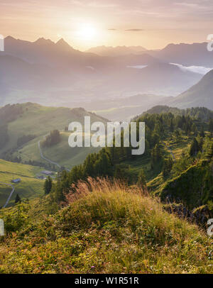 Blick vom Kitzbüheler Horn Richtung Fieberbrunn, Leoganger Steinbergen, Tirol, Österreich Stockfoto