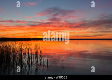 Schweriner See, Mecklenburgische Seenplatte, Mecklenburg-Vorpommern, Deutschland Stockfoto