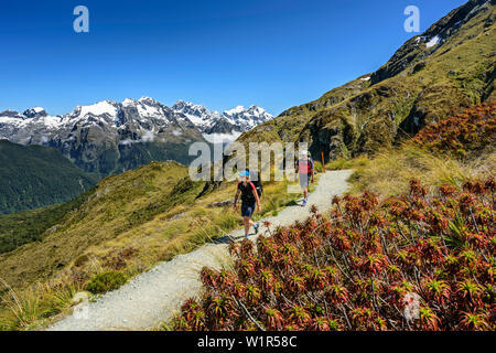 Zwei Personen, die Wandern auf Routeburn Track mit südlichen Alpen im Hintergrund, Routeburn Track, tolle Wanderungen, Fiordland Nationalpark, UNESCO Welterbe Te Wahi Stockfoto