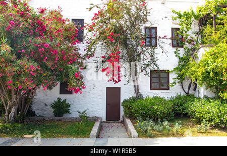 Traditionell im Stil der Ägäis weißen Häusern, bunten Straßen und Bougainvillea Blüten in Bodrum Stadt der Türkei. Weiß farbige Architektur in der Stadt Bodrum Stockfoto