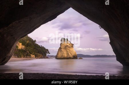 Cathedral Cove, Coromandel, Thames-Coromandel Bezirk, Coromandel Halbinsel, North Island, Neuseeland, Ozeanien Stockfoto