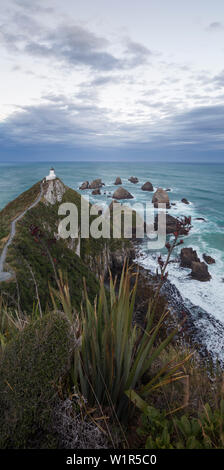 Nugget Point, Catlins, Otago, Südinsel, Neuseeland, Ozeanien Stockfoto