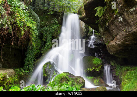 Kirnitzsch Lichtenhainer Wasserfall, Tal, Elbsandsteingebirge, Sächsische Schweiz, Sachsen, Deutschland, Europa Stockfoto