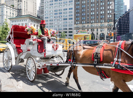 Pferd und Wagen im Central Park in New York USA Stockfoto
