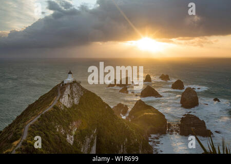 Nugget Point bei Sonnenaufgang, Catlins, Otago, Südinsel, Neuseeland, Ozeanien Stockfoto