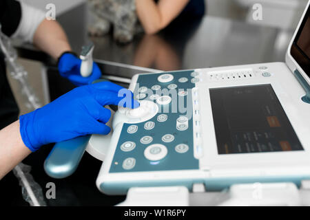 Tierärzte haben ein ultraschallbild von verletzten Auge des Hundes in einem Veterinär. Animal Health Care Concept Stockfoto