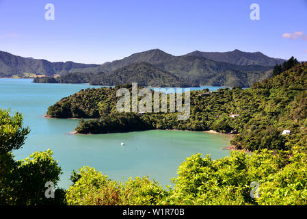 In der Nähe von Te Mahia, Kenepuru Sound, Marlborough Sounds, Südinsel, Neuseeland Stockfoto