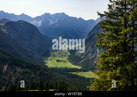 Blick von Plumsjoch - Spur in den Ahornboden Tal, Ger, Ahorn, Acer pseudoplatanus, Österreich, Europa Stockfoto