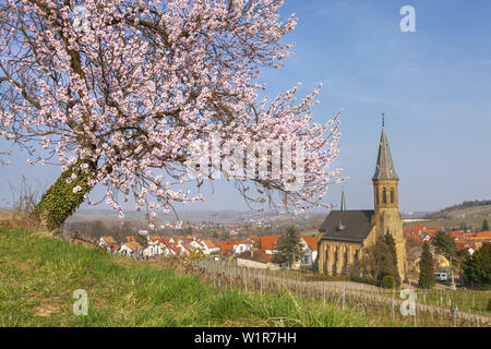 Anzeigen von Birkweiler und Mandelblüte in der Pfalz, Pfälzer Wald, Rheinland-Pfalz, Deutschland, Europa Stockfoto