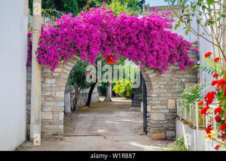 Die traditionellen weißen Häuser im Stil der Ägäis, Strand, Jachthafen und bunten Straßen mit Bougainvillea Blüten in Bodrum Stadt der Türkei. Urlaub in der Stadt Bodrum. Stockfoto