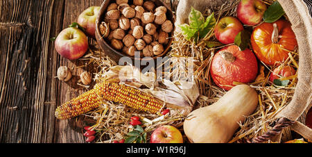 Herbst noch Leben mit saisonal Äpfel, gehackte Walnüsse und sortierten Herbst Kürbis, butternut und Kürbisse mit getrockneten Maiskolben Verschütten von einem rustikalen Ba Stockfoto