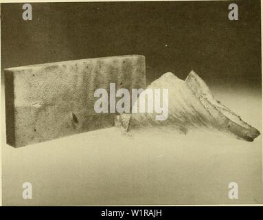 Archiv Bild von Seite 47 Der tiefe Ozean biologischen Materialien (1965). Deep-ocean biologischen Materialien deepoceanbiodete 06 mura Jahr: 1965 Abbildung 41. Polyurethanschaum (I) und Polyethylen Schaum (r). Stockfoto