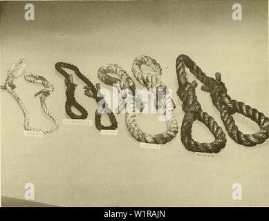 Archiv Bild von Seite 47 Der tiefe Ozean biologischen Materialien (1965). Deep-ocean biologischen Materialien deepoceanbiodete 06 mura Jahr: 1965 Abbildung 41. Polyurethanschaum (I) und Polyethylen Schaum (r). Abbildung 42. Seil Exemplare, die in einer Plastiktüte Prüfkammer gestellt wurden. 42 Stockfoto