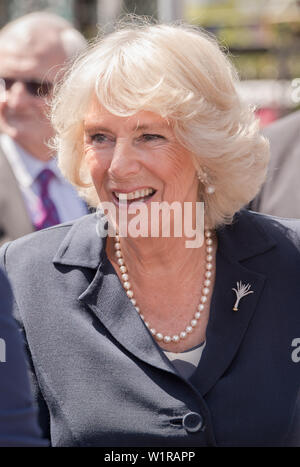 Die Herzogin von Cornwall bei einem Besuch in Carmarthen Markt Markt Händler zu treffen und Abschaltdruck Inhaber, einschließlich Richardson's Bäckerei, die Kuchen für ihre Hochzeit in 2005 an den Prinzen von Wales. Stockfoto