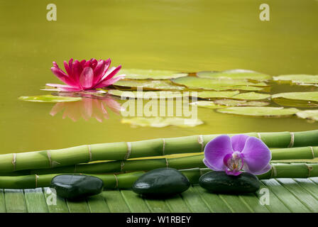 Wellness Ambiente mit schwarzen massage Steine, einige Bambus Halme und Purple orchid flower. Im Hintergrund ein Teich mit einem Lotus Stockfoto