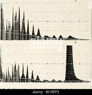 Archiv Bild von Seite 59 der DAMOS - Mussel ansehen Western. DAMOS - Mussel ansehen Western Long Island Sound Entsorgung Website Monitoring Projekt Juni 1, 1984 - Juni l, 1985 damosmusselwatch 00 feng Jahr: 1988 Abbildung 8 Zwei GC Chromatogramme der polychlorierten Biphenyle aus mussel Gewebeextrakte: A. normales Chromatogramm, B. Ausstellen eines großen anomale Peak. 50 Stockfoto