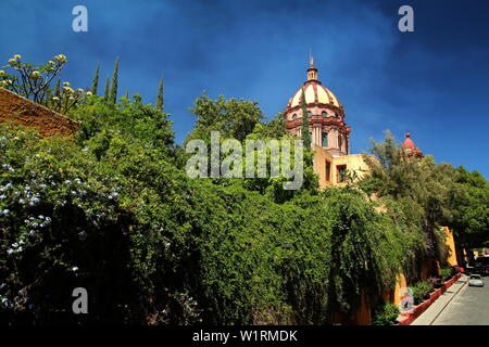 Kirche der Nonnen in San Miguel de Allende, Guanajuato, Mexiko in der grünen Oase. Stockfoto