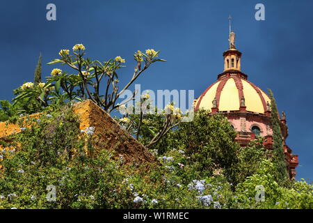 Kirche der Nonnen in San Miguel de Allende, Guanajuato, Mexiko in der grünen Oase. Stockfoto