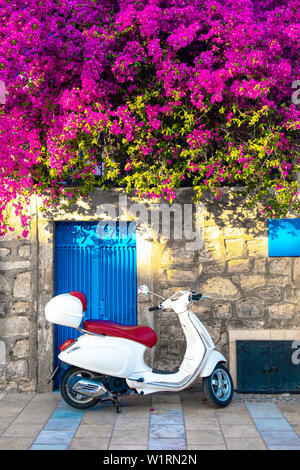 Die traditionellen weißen Häuser im Stil der Ägäis, Strand, Jachthafen und bunten Straßen mit Bougainvillea Blüten in Bodrum Stadt der Türkei. Urlaub in der Stadt Bodrum. Stockfoto