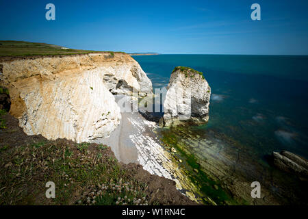 Meer, Stapel, Welle, Schnitt, Plattform, Kreide, Strand, Süßwasserbucht, Isle of Wight, England, Großbritannien, Geologie, Stockfoto