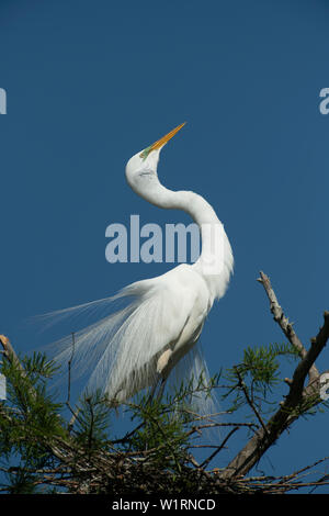 2019-04-14 Cazan See Stockfoto