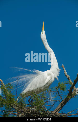 2019-04-14 Cazan See Stockfoto