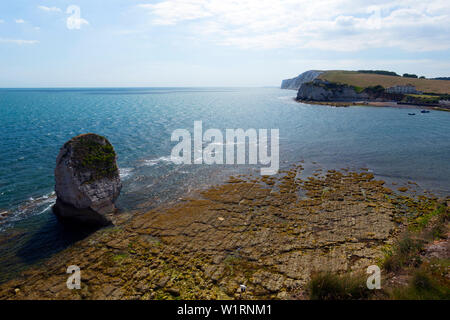 Meer, Stapel, Welle, Schnitt, Plattform, Kreide, Strand, Süßwasserbucht, Isle of Wight, England, Großbritannien, Geologie, Stockfoto