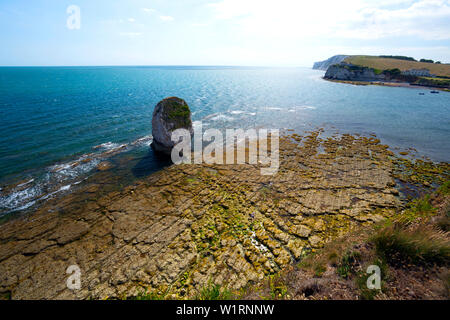 Meer, Stapel, Welle, Schnitt, Plattform, Kreide, Strand, Süßwasserbucht, Isle of Wight, England, Großbritannien, Geologie, Stockfoto