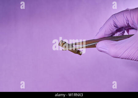 Die behandschuhte Hand mit Pinzette und bullet Gehäuse. Stockfoto