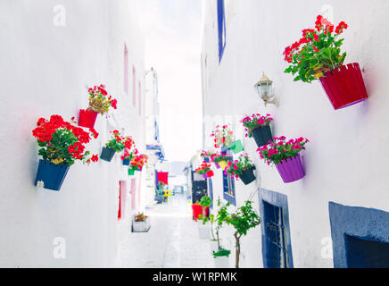 Blick auf die weißen Straße und Blumen in Bodrum Stadt der Türkei. Im Stil der Ägäis bunte Straße, Wand, Haus und Blumen in Bodrum. Stockfoto