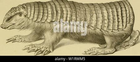 Archiv Bild von Seite 80 der Denkschriften der Kaiserlichen Akademie der Stockfoto