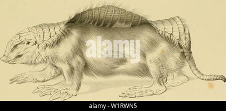 Archiv Bild von Seite 80 der Denkschriften der Kaiserlichen Akademie der Stockfoto