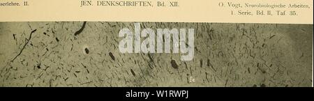 Archiv Bild von Seite 80 der Denkschriften der Medicinisch-Naturwissenschaftlichen Gesellschaft zu Stockfoto