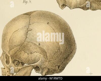 Archiv Bild von Seite 80 der Denkschriften der Kaiserlichen Akademie der. Denkschriften der Kaiserlichen Akademie, Christian, Mathematisch-Naturwissenschaftliche Classe denkschriftender 32 kais Jahr: 1872.f''''/• •" • "Ti Stockfoto
