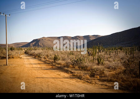 Remote Feldweg in einer kargen Landschaft. Stockfoto