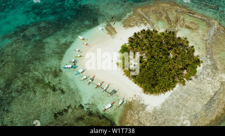 Meereslandschaft mit schönen Strand und die tropische Insel mit Palmen von Coral Reef von oben. Guyam Island, Philippinen, Siargao. Sommer und Reisen Urlaub Begriff Stockfoto
