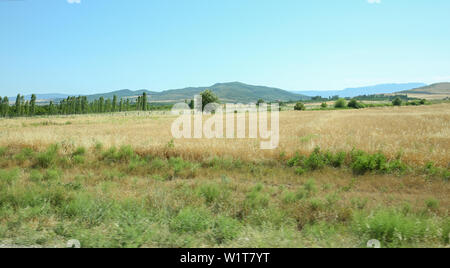 Ländliche Landschaft in der Morgendämmerung, Gelände mit oat Felder und aus dem Dorf auf dem Hügel. Foto. Gereifte blütenrispen Gemeinsame Hafer Avena sativa Stockfoto