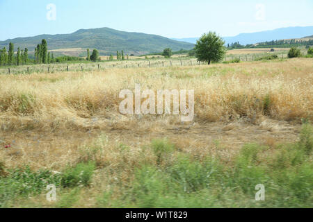 Ländliche Landschaft in der Morgendämmerung, Gelände mit oat Felder und aus dem Dorf auf dem Hügel. Foto. Gereifte blütenrispen Gemeinsame Hafer Avena sativa Stockfoto
