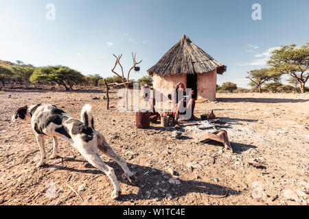 Frau Himba kochen Maisbrei vor ihrer Hütte, für sich und ihr Kind, Kunene, Namibia Stockfoto