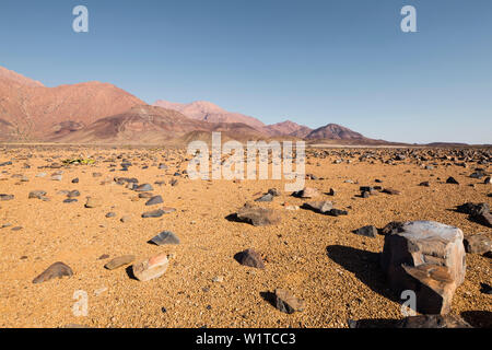 Steinige Wüste am Fuße der Brandberg Berg, Damaraland, Erongo, Namibia, Afrika. Stockfoto