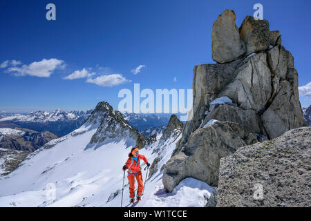 Frau backcountry Skiing aufsteigend in Richtung Cima, Cima Vedretta Vedretta Nera Nera, Adamello Gruppe, Trentino, Italien Stockfoto