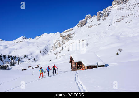 Drei Personen backcountry Skiing aufsteigender Richtung Berghütte, Peitlerkofel, Naturpark Puez-Geisler, UNESCO Weltnaturerbe Dolomiten, Dolomit Stockfoto