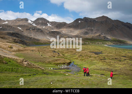 Touristen von einer Expedition Cruise Ship stehen auf einem Vorgebirge, um eine atemberaubende Landschaft mit Königspinguine (Aptenodytes patagonicus), Antarc Stockfoto