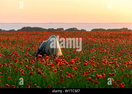 Junge Frau mit langen blonden Haaren sitzt im Mohnfeld auf Rügen, Ostsee, Mecklenburg-Vorpommern, Deutschland Stockfoto