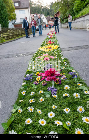 Die Blütenblätter auf den Boden, Corpus Christi, Fest Fronleichnam Prozession, Sipplingen, Bodensee, Baden-Württemberg, Deutschland, Europa Stockfoto