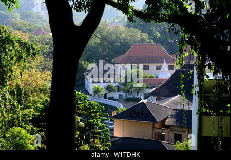 In den Bergen über Kandy, Sri Lanka Stockfoto