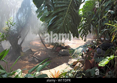 Schildkröten, Zoo, Tierpark Hellabrunn, München, Bayern, Deutschland Stockfoto