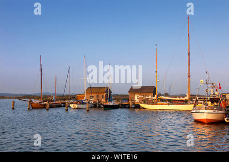 Boote im Hafen, Gager, Halbinsel Mönchgut, Rügen, Ostsee, Mecklenburg-Vorpommern, Deutschland Stockfoto